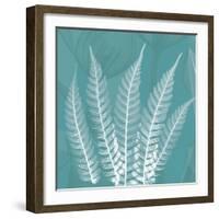 Teal Fern Xray-Albert Koetsier-Framed Premium Giclee Print