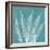 Teal Fern Xray-Albert Koetsier-Framed Premium Giclee Print