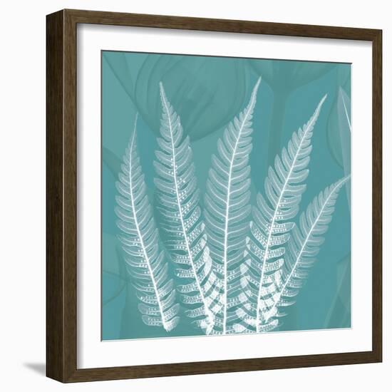 Teal Fern Xray-Albert Koetsier-Framed Premium Giclee Print