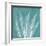 Teal Fern Xray-Albert Koetsier-Framed Premium Giclee Print