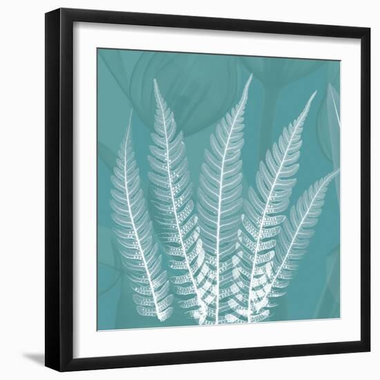 Teal Fern Xray-Albert Koetsier-Framed Premium Giclee Print