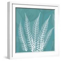 Teal Fern Xray-Albert Koetsier-Framed Premium Giclee Print