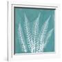 Teal Fern Xray-Albert Koetsier-Framed Art Print