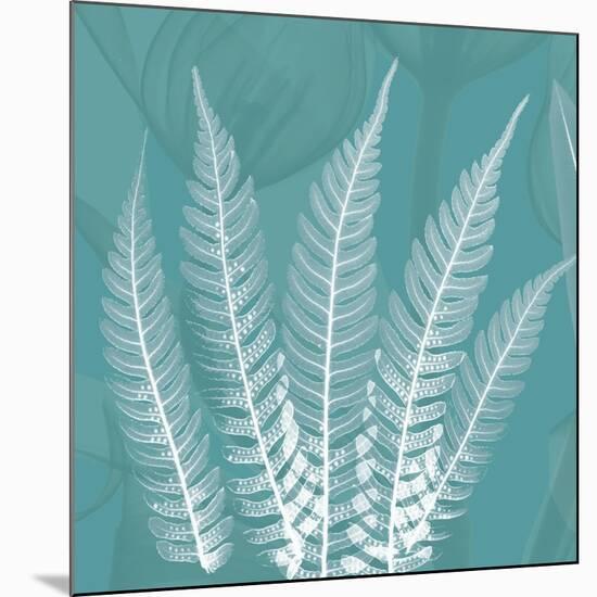 Teal Fern Xray-Albert Koetsier-Mounted Art Print