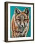 Teal Fox-Carolee Vitaletti-Framed Art Print