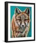 Teal Fox-Carolee Vitaletti-Framed Art Print