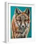 Teal Fox-Carolee Vitaletti-Framed Art Print