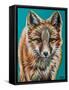 Teal Fox-Carolee Vitaletti-Framed Stretched Canvas