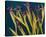 Teal Garden Irises-null-Stretched Canvas