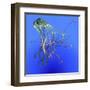 Teal Jellyfish Illustration-Stocktrek Images-Framed Art Print