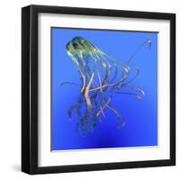 Teal Jellyfish Illustration-Stocktrek Images-Framed Art Print