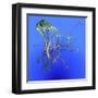 Teal Jellyfish Illustration-Stocktrek Images-Framed Art Print