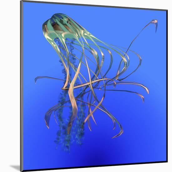 Teal Jellyfish Illustration-Stocktrek Images-Mounted Art Print