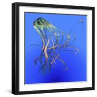 Teal Jellyfish Illustration-Stocktrek Images-Framed Art Print