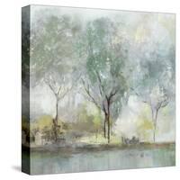 Teal Landscape-Isabelle Z-Stretched Canvas