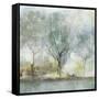 Teal Landscape-Isabelle Z-Framed Stretched Canvas