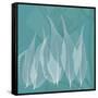 Teal Leaf Xray-Albert Koetsier-Framed Stretched Canvas