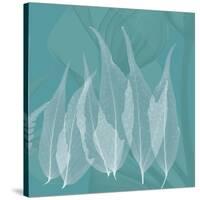 Teal Leaf Xray-Albert Koetsier-Stretched Canvas