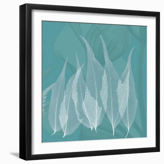 Teal Leaf Xray-Albert Koetsier-Framed Premium Giclee Print