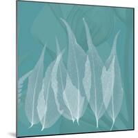 Teal Leaf Xray-Albert Koetsier-Mounted Premium Giclee Print