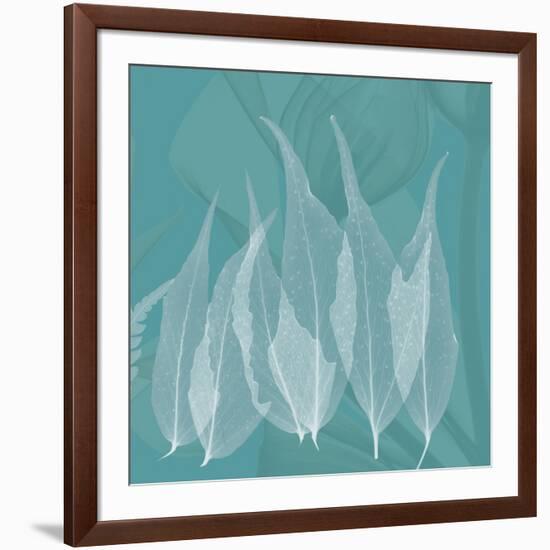 Teal Leaf Xray-Albert Koetsier-Framed Art Print