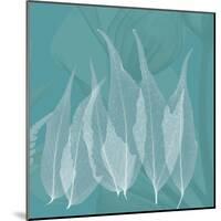 Teal Leaf Xray-Albert Koetsier-Mounted Art Print