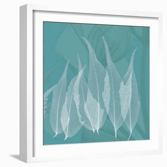 Teal Leaf Xray-Albert Koetsier-Framed Art Print