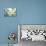 Teal Lily-Anna Polanski-Art Print displayed on a wall