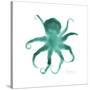 Teal Octopus-Albert Koetsier-Stretched Canvas