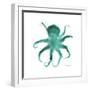 Teal Octopus-Albert Koetsier-Framed Premium Giclee Print