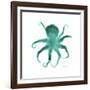 Teal Octopus-Albert Koetsier-Framed Premium Giclee Print