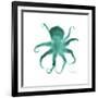 Teal Octopus-Albert Koetsier-Framed Premium Giclee Print