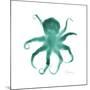 Teal Octopus-Albert Koetsier-Mounted Premium Giclee Print