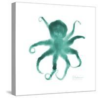 Teal Octopus-Albert Koetsier-Stretched Canvas