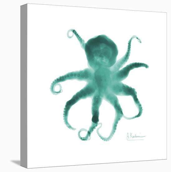 Teal Octopus-Albert Koetsier-Stretched Canvas