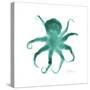 Teal Octopus-Albert Koetsier-Stretched Canvas