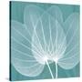 Teal Orchid Xray-Albert Koetsier-Stretched Canvas