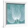 Teal Orchid Xray-Albert Koetsier-Framed Art Print