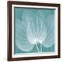 Teal Orchid Xray-Albert Koetsier-Framed Art Print