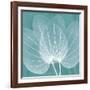 Teal Orchid Xray-Albert Koetsier-Framed Art Print