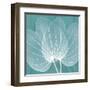 Teal Orchid Xray-Albert Koetsier-Framed Art Print