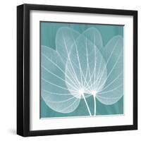 Teal Orchid Xray-Albert Koetsier-Framed Art Print