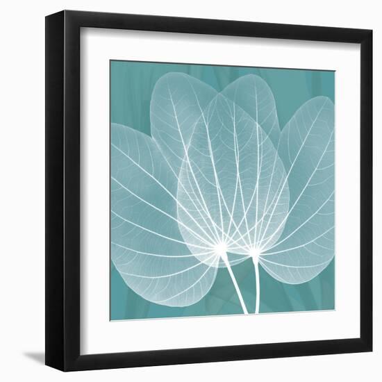 Teal Orchid Xray-Albert Koetsier-Framed Art Print