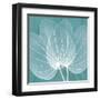 Teal Orchid Xray-Albert Koetsier-Framed Art Print