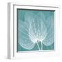 Teal Orchid Xray-Albert Koetsier-Framed Art Print