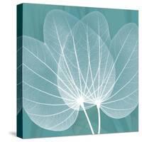 Teal Orchid Xray-Albert Koetsier-Stretched Canvas