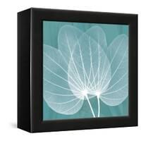 Teal Orchid Xray-Albert Koetsier-Framed Stretched Canvas