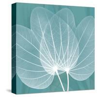 Teal Orchid Xray-Albert Koetsier-Stretched Canvas