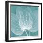 Teal Orchid Xray-Albert Koetsier-Framed Art Print