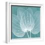 Teal Orchid Xray-Albert Koetsier-Framed Art Print